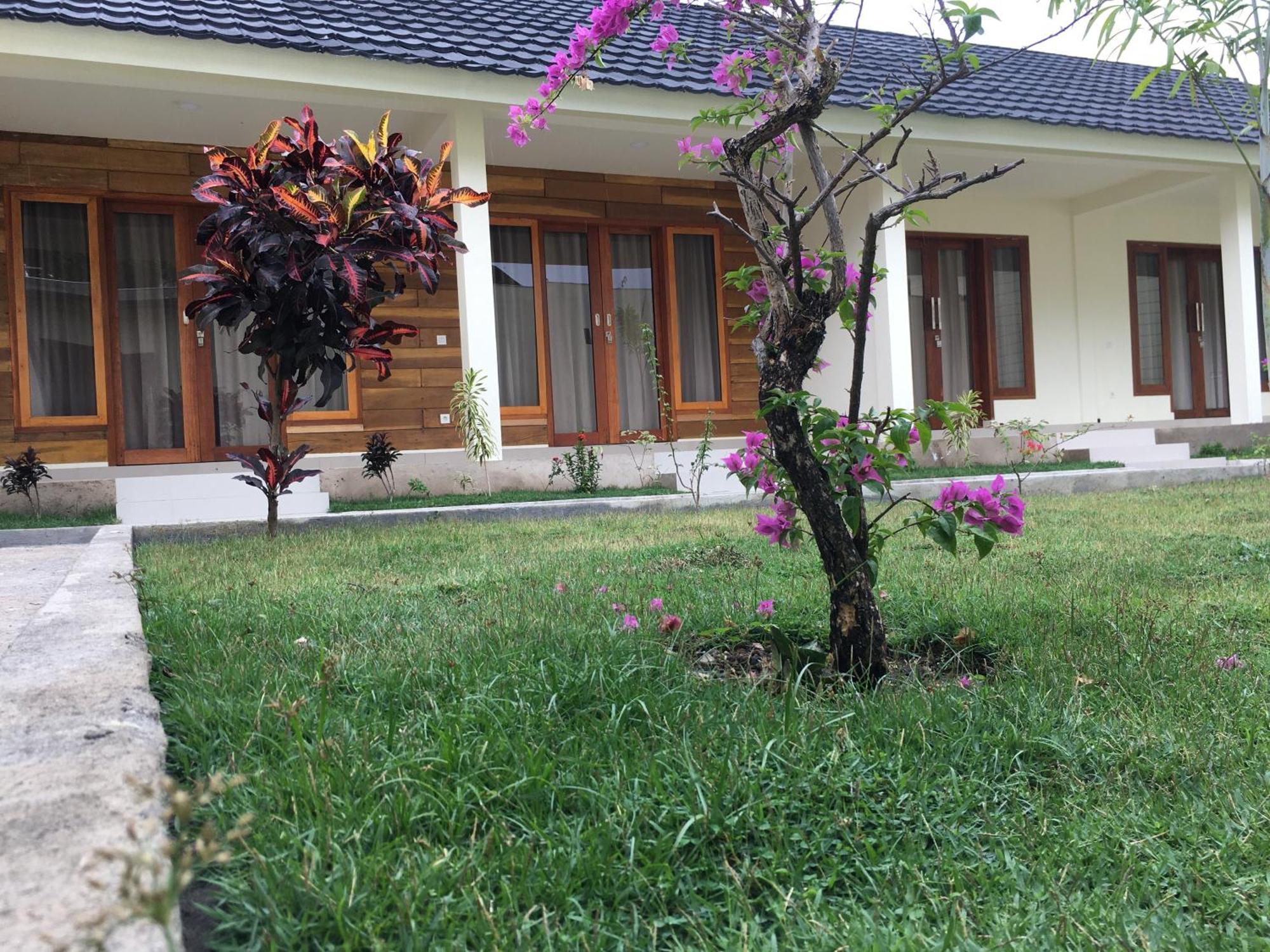 Green Rinjani Bayan Chambre photo
